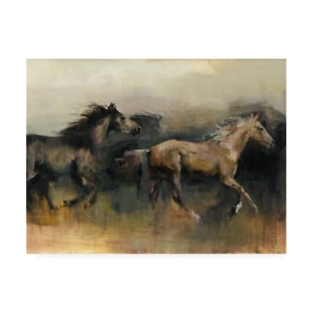 Marilyn Hageman 'Roaming The West Crop' Canvas Art,24x32